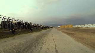 preview picture of video 'Cow Row, Painted Rock Dairy, Gila Bend, Arizona'