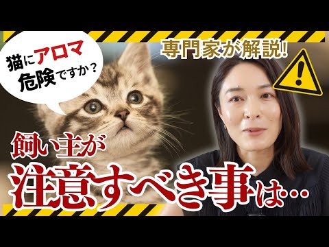 毒猫の家庭療法