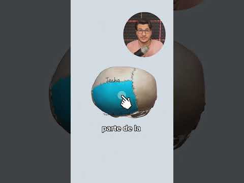 Huesos de la bóveda craneal!