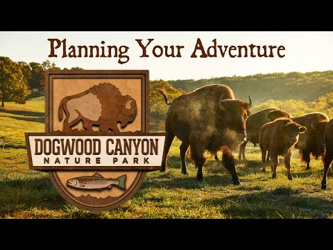 Dogwood Canyon Discount Code
