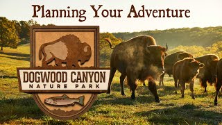 Plan Your Adventure to Dogwood Canyon