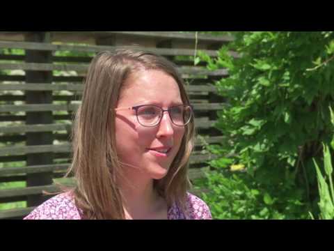 Behandlung von Osteoarthritis in der Region Tjumen Behandlung von Gelenken Birkenblatt