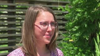 Schmetterlinge in den Garten locken