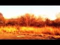 GO WITH YOU - TORO Y MOI