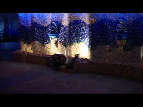 Aparta Hotel Amadeus Fuente