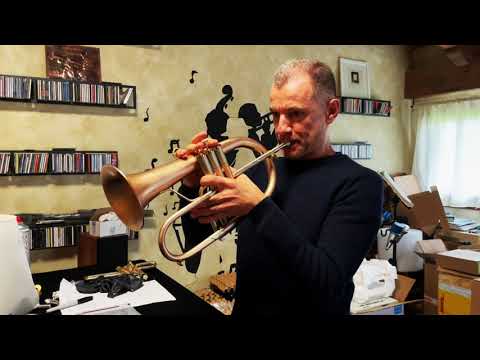 AR Resonance Soave Flugelhorn 2022 - Bronze Laquerish image 20