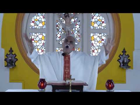 Sunday, July 31, 2022   Feast of St  Ignatius of Loyola   Homily