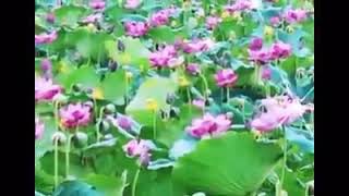 Về Nghĩa Hiệp hôm nay