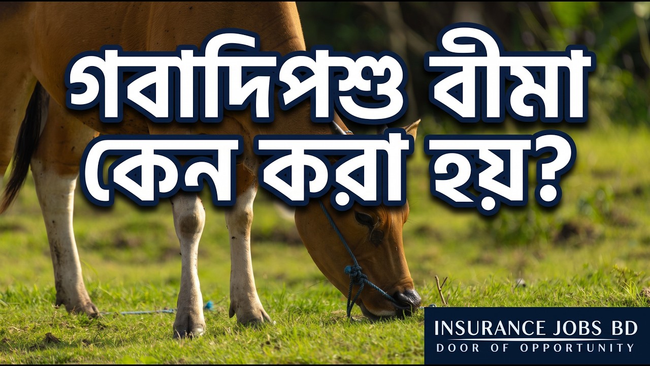গবাদিপশু বীমা কেন করা হয়?