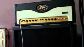 Video thumbnail for Peavey Windsor Pedal Demo by Stephen James (uoft93)