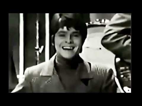 THE McCOYS  "HANG ON SLOOPY"  1965