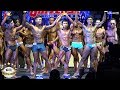 WFF Universe 2018 - Men's Sports Model (Novice)