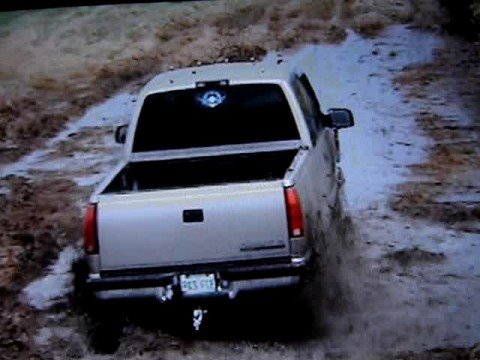 98 chevy with thornbirds