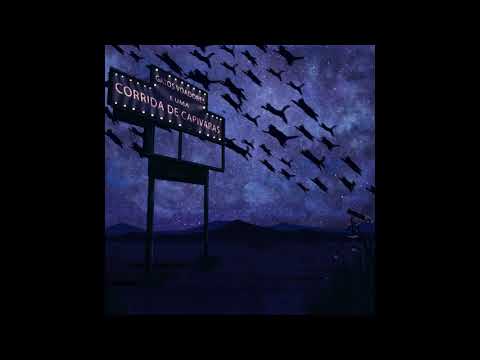 Gatos Voadores - Unicórnio Maravilha