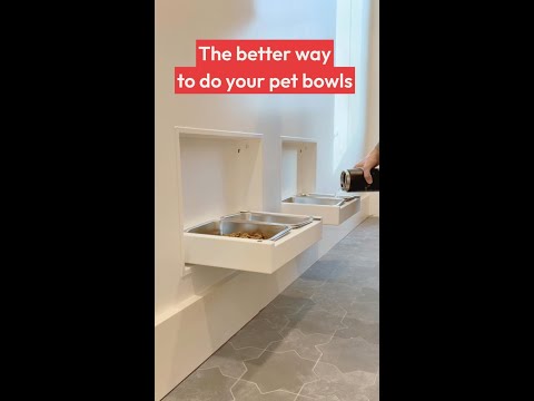 This is the Murphy Bowl