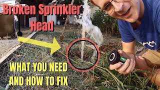 Broken Sprinkler Head / RainBird / What You Need And How To Fix