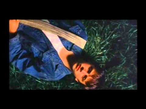 Joe The King-What are you looking for? :(