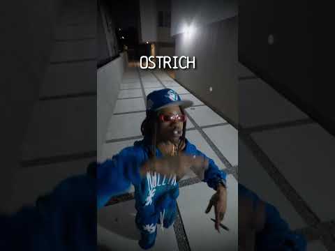 Tell em “TALK IS CHEAP”🗣️ #freestyle #liltwist