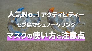 セブ島のオプショナルツアーで一番人気！シュノーケリングの使い方と注意点