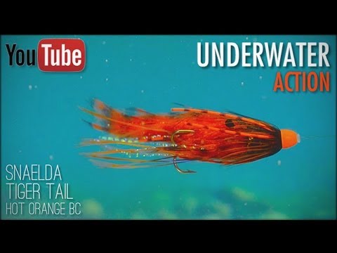 Snaelda Tiger Tail Hot Orange BC