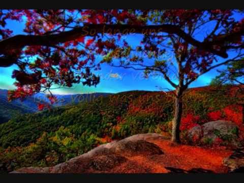 Zusammenleben in Vielfalt