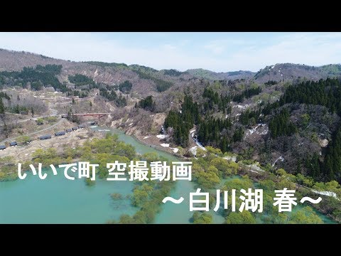 春の白川湖水没林～山形県飯豊町観光協会～