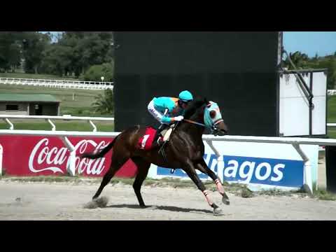 221014 c01 - ALCALDE DEL NORTE - HIPODROMO LAS PIEDRAS