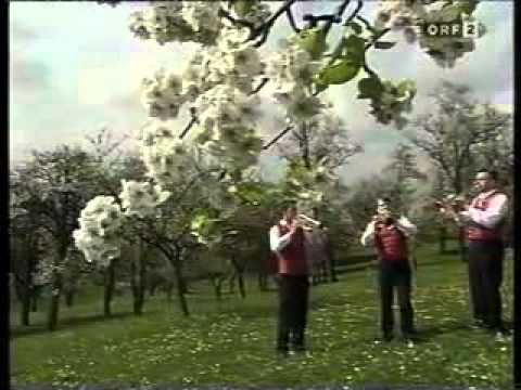 Strengberg - Sepp Forcher