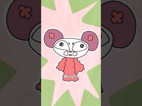 Why It Sucks To Be Born As A Geisha