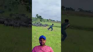 Engraçadinho foi no Javali😱