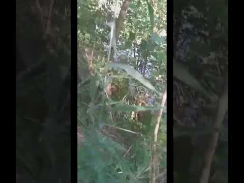 Segundo dia de pesca en el rio de san marcos sud  Marco juarez cordoba