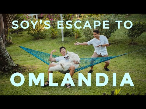 SOY'S ESCAPE TO OMLANDIA | Anjing Husky jalan ke Restaurant Omlandia Medan