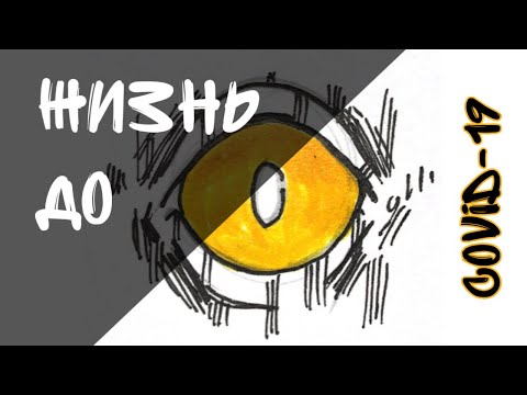 Жизнь до COVID - 19