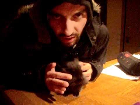 giati einai ena mikro kounelaki