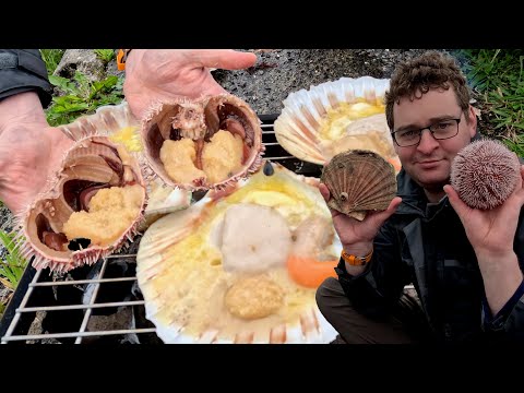Scottish Scallops and Sea Urchin Over the Coals | Gonads Baby!