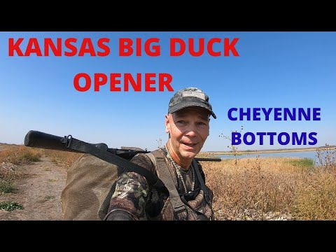 Kansas Big Duck Opener Huge Spread Cheyenne Bottoms Kansas Hunting
