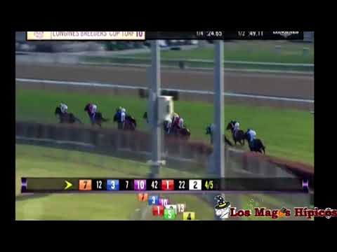 "Breeder's Cup Turf" - 03-11-2018 - Churchill Downs - "Enable"