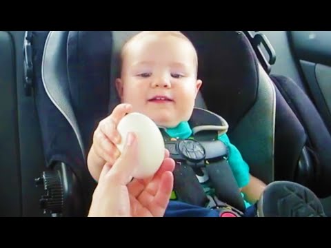 BABY WANTS AN EGG Video