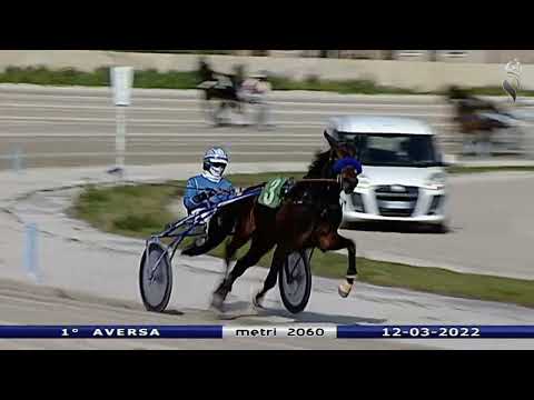 Aversa trotto 12 Marzo 2022 - 1° Corsa