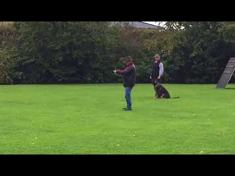 IPO1 Hermes  nur Voraus