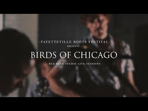 Super Lover by Birds of Chicago