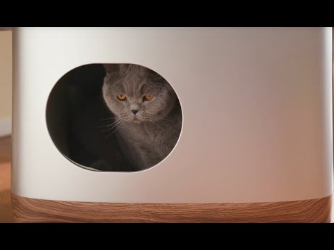 iKuddle - Customer Sucess Story