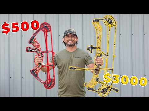 $500 BOW VS $3000 BOW