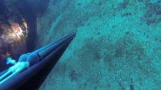 Подводная рыбалка в черногории