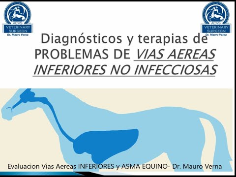 , title : 'Evaluacion de Vías Aéreas Inferiores y Asma Equino-Dr. Mauro Verna'
