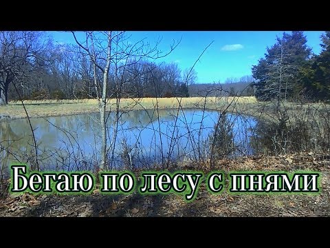 Ношусь с пнями по лесу/ Накрутила венки/ Плодотворный день #115