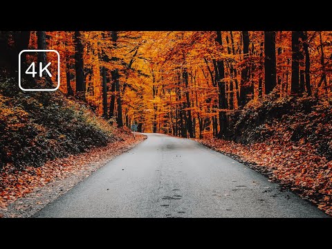 Caminhada ao Pôr do Sol de Outono | Viana do Castelo | Portugal, Outubro 2023 | Passeio Pedestre 4K