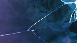 해쉬스완 Hash Swan - Francesca 1시간 1hour