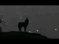 Birds, Bewildered (Official Lyric Video) by The Choir