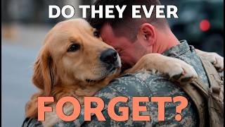 HOW LONG Does it TAKE a DOG to FORGET their OWNER? 🤔 (Dogs and Emotional Memory)